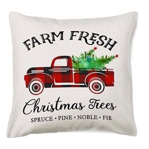 *3/$12 Holiday pillow cover. NWOT